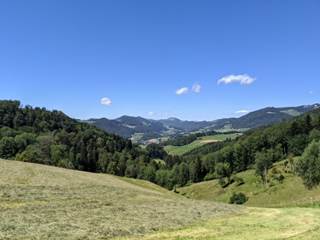 Ein Bild, das Gras, drauen, Natur, Feld enthlt.

Automatisch generierte Beschreibung