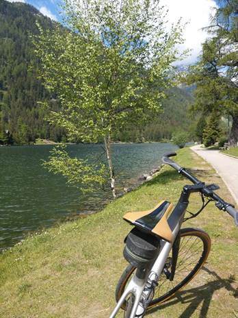 Ein Bild, das Baum, drauen, Gras, geparkt enthlt.

Automatisch generierte Beschreibung