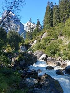Ein Bild, das drauen, Natur, Rock, Wald enthlt.

Automatisch generierte Beschreibung