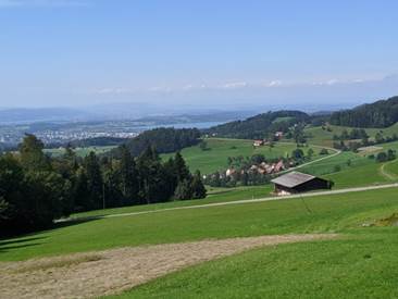 Ein Bild, das Gras, drauen, Natur, Feld enthlt.

Automatisch generierte Beschreibung